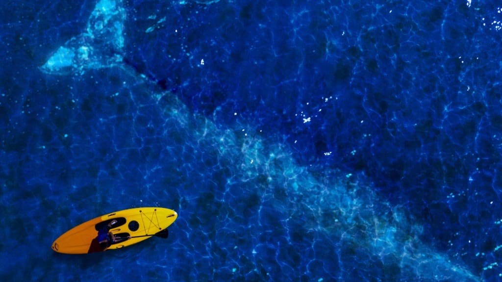 january march monterey bay paddling