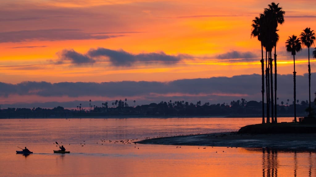 gray whale migration kayaking