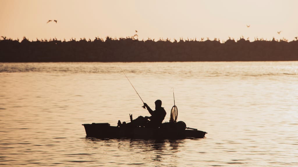 guided for beginners self guided