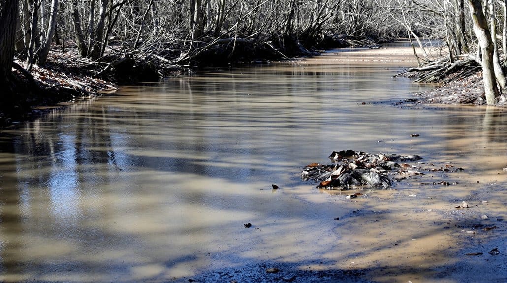 seasonal southeast winter flows